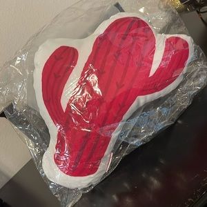 Escada cactus 🌵 pillow.